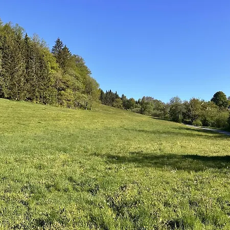 Smart 2 Bb2 322 Winterberg